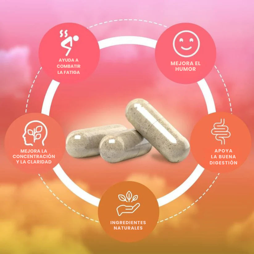 YERBA MAGIC CAPSULAS